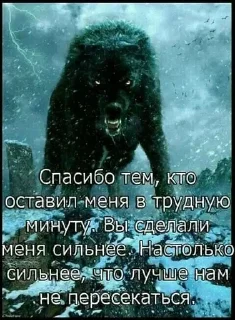 🐺 emoji Фо Хорни Волк любимый Telegram sticker 15 of 112