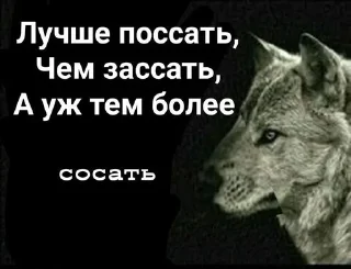🐺 emoji Фо Хорни Волк любимый Telegram sticker 18 of 112