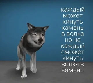 🐺 emoji Фо Хорни Волк любимый Telegram sticker 20 of 112