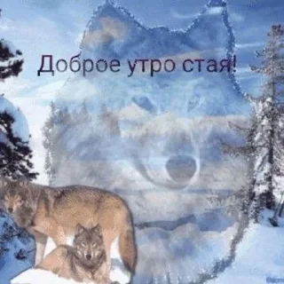 🐺 emoji Фо Хорни Волк любимый Telegram sticker 5 of 112