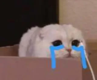😢 emoji cats Telegram sticker 12 of 70
