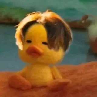 🐣 emoji جوجو 🥰 Telegram sticker 13 of 28