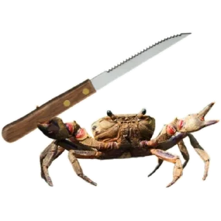 🔪 emoji @notfurkan's kang pack 1 Telegram sticker 24 of 115