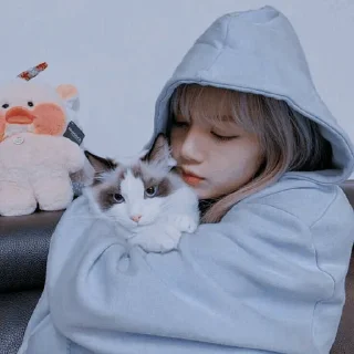 🇦🇺 emoji LISA； @Gl10_Stic Telegram sticker 2 of 50