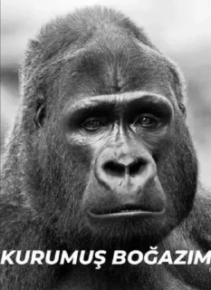😢 emoji @Taabiefendim 🦍 Telegram sticker 18 of 26