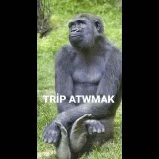 😒 emoji @Taabiefendim 🦍 Telegram sticker 12 of 26