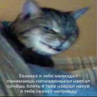 🤥 emoji Ебаный котлин чат заставляет меня плакать Telegram sticker 5 of 11