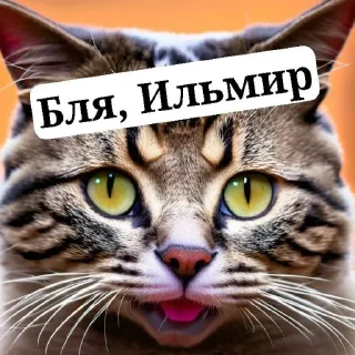 Sticker from Ебаный котлин чат заставляет меня плакать