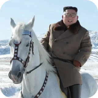👍 emoji North Korea - The Hermit Kingdom Telegram sticker 17 of 39