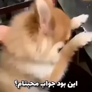 😔 emoji @Slp_dokhtari | سلپ ۳ Telegram sticker 19 of 50