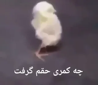 🐣 emoji @Slp_dokhtari | سلپ ۳ Telegram sticker 6 of 50