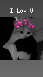 💗 emoji 😻Cat's_meow🐾 Telegram sticker 23 of 29