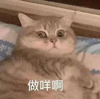 ❤️ emoji 小鹿乱撞 Telegram sticker 24 of 120