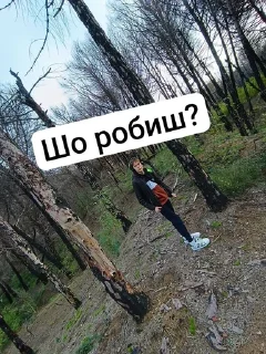 Sticker from Бобри в тємє