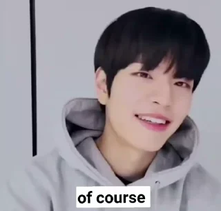 😄 emoji skz 🍥    ,   @wxfjsh ( @editbalter ) Telegram sticker 11 of 50