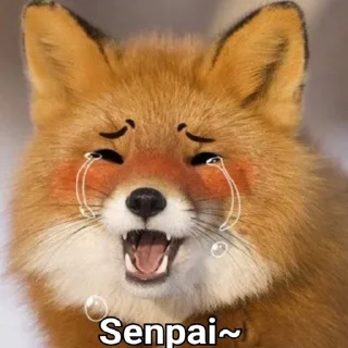 😍 emoji Лисий рай 🦊 Telegram sticker 20 of 47