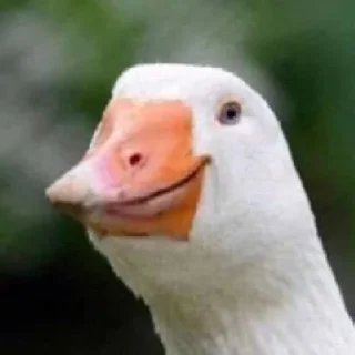 🥰 emoji Random shit 2 Telegram sticker 19 of 63