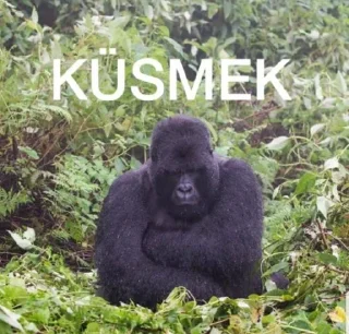 😞 emoji @Taabiefendim 🦍 Telegram sticker 23 of 26
