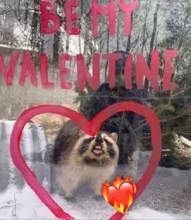 ❤️ emoji Raccoons Telegram sticker 22 of 69