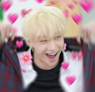 💗 emoji Stray Kids Telegram sticker 20 of 44