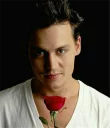 🌹 emoji Johnny depp Telegram sticker 24 of 34