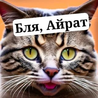 Sticker from Ебаный котлин чат заставляет меня плакать
