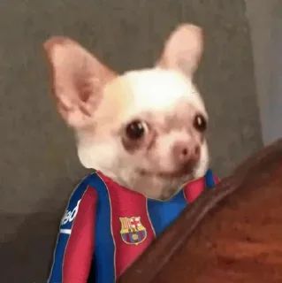 😶 emoji Barca Collection Telegram sticker 5 of 43