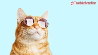 😎 emoji @Taabiefendim 😎 Telegram sticker 7 of 44