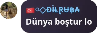 🖤 emoji 🫰DİLRUBA🫰 Telegram sticker 23 of 44