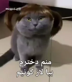 ✂️ emoji @slp_dokhtari | سلپ ۵ Telegram sticker 15 of 35