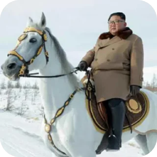 👍 emoji North Korea - The Hermit Kingdom Telegram sticker 16 of 39