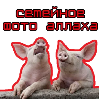 🐷 emoji ⚡️ @KuKluxRussia ⚡️ Telegram sticker 11 of 12