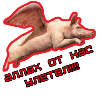 🐷 emoji ⚡️ @KuKluxRussia ⚡️ Telegram sticker 6 of 12