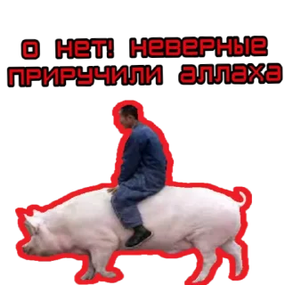 🐷 emoji ⚡️ @KuKluxRussia ⚡️ Telegram sticker 7 of 12