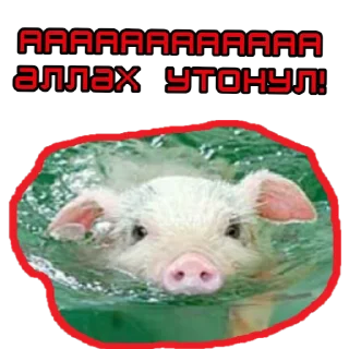🐷 emoji ⚡️ @KuKluxRussia ⚡️ Telegram sticker 8 of 12