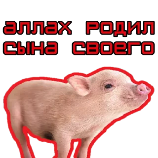 🐷 emoji ⚡️ @KuKluxRussia ⚡️ Telegram sticker 12 of 12