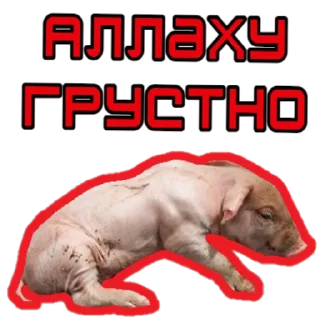 🐷 emoji ⚡️ @KuKluxRussia ⚡️ Telegram sticker 9 of 12