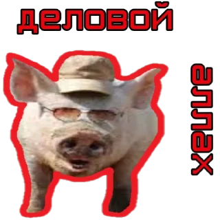 🐷 emoji ⚡️ @KuKluxRussia ⚡️ Telegram sticker 10 of 12