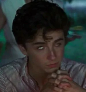 Sticker from Timothée Chalamet