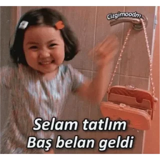 💚 emoji Tamam Telegram sticker 20 of 22