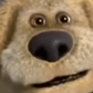 😬 emoji сука я з Telegram sticker 3 of 65