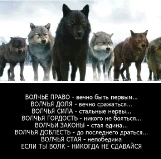🐺 emoji Фо Хорни Волк любимый Telegram sticker 11 of 112