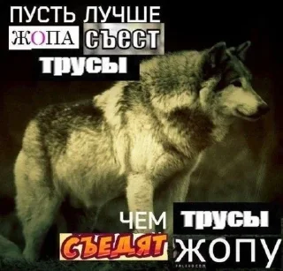 🐺 emoji Фо Хорни Волк любимый Telegram sticker 21 of 112