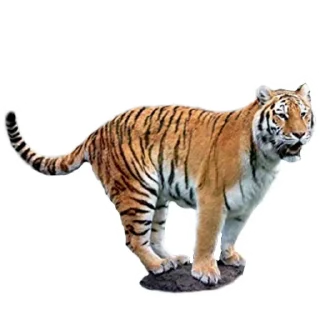 🙃 emoji Maero's Tigers Telegram sticker 3 of 82