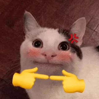 🥺 emoji Beluga Telegram sticker 16 of 58