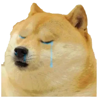 😭 emoji V 5 | @BriefBoy | @Sulfux Telegram sticker 22 of 89