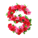 🌹 emoji BN Roses Alphabet🌹 Telegram sticker 19 of 27
