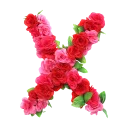 🌹 emoji BN Roses Alphabet🌹 Telegram sticker 24 of 27