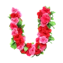 🌹 emoji BN Roses Alphabet🌹 Telegram sticker 21 of 27