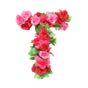 🌹 emoji BN Roses Alphabet🌹 Telegram sticker 20 of 27